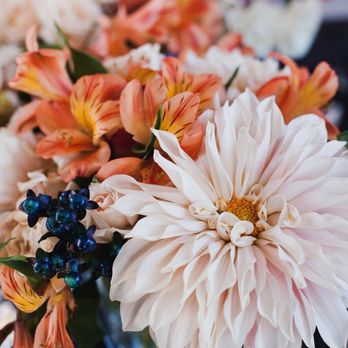 Stems and Petals - Florists Near Me Stems and Petals - Florists Near Me