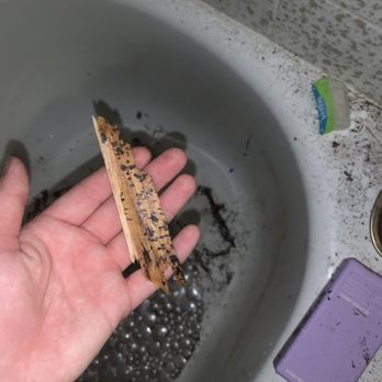 Farrell Smyth - Shards of wood in my shower during roof repair - Property Management Near Me - San Luis Obispo, California Farrell Smyth - Shards of wood in my shower during roof repair - Property Management Near Me - San Luis Obispo, California