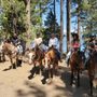 Photo of Shaver Stables