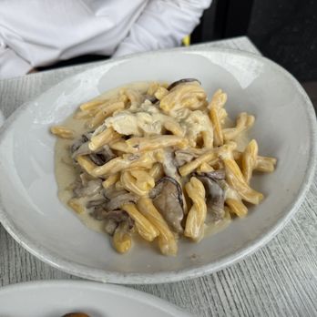 Bencotto Italian Kitchen - Cheesewheel Pasta - Italian Near Me - San Diego, California Bencotto Italian Kitchen - Cheesewheel Pasta - Italian Near Me - San Diego, California