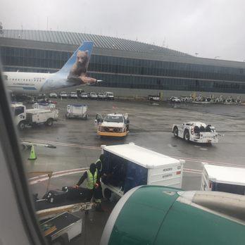 Frontier Airlines - Loading luggage - Airlines Near Me - Newark, New Jersey