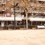 Photo of Marabu