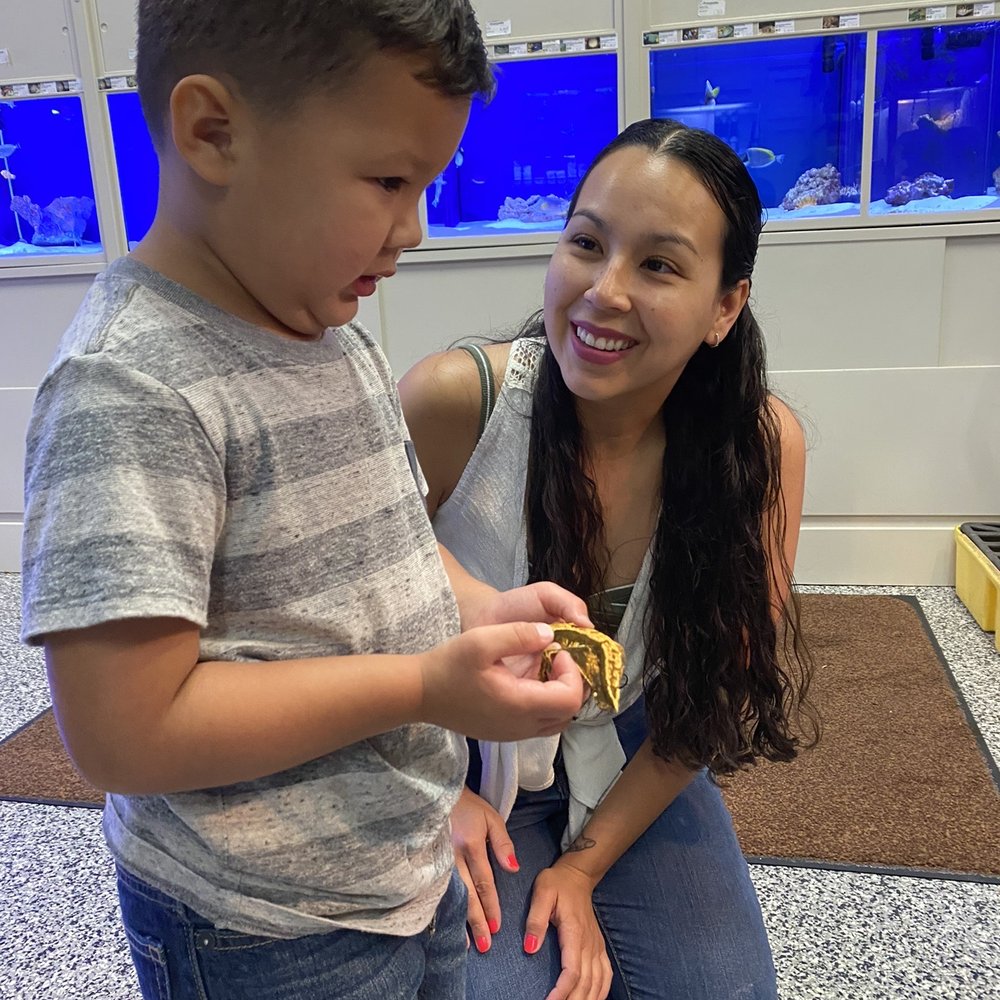 Aquarium Show - Local Fish Stores Near Me - Sunrise, Florida