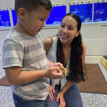 Aquarium Show - Local Fish Stores Near Me - Sunrise, Florida