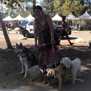 Wiggle Waggle Walk - Community Service/Non-Profit Near Me - Pasadena, California Wiggle Waggle Walk - Community Service/Non-Profit Near Me - Pasadena, California