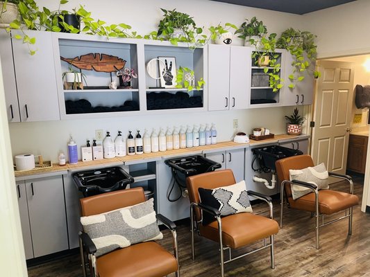 Monstera Salon