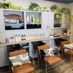 Monstera Salon