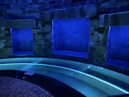 RAKxa Wellness Spa at The St. Regis Aspen Resort by null