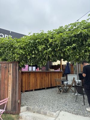 Cafe Antonietta by null