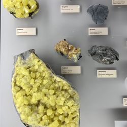 Beneski Museum of Natural History - Rocks