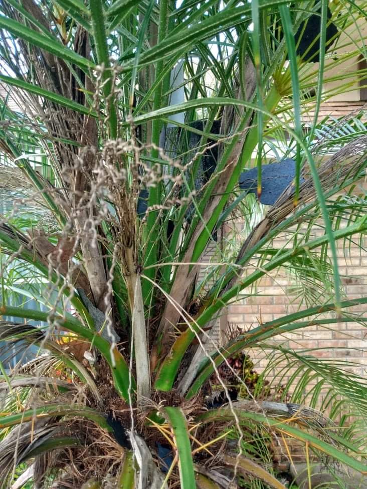 Slide of JRC Home Services