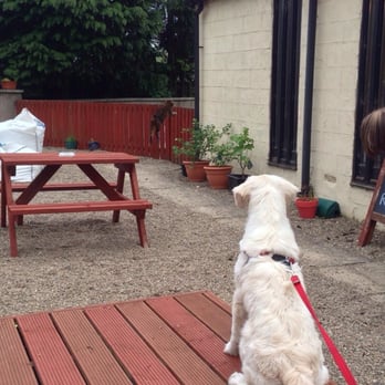 The Old Cross - Their beer garden... With half a cat and a dog! - Pubs Near Me - Blairgowrie, PKN The Old Cross - Their beer garden... With half a cat and a dog! - Pubs Near Me - Blairgowrie, PKN