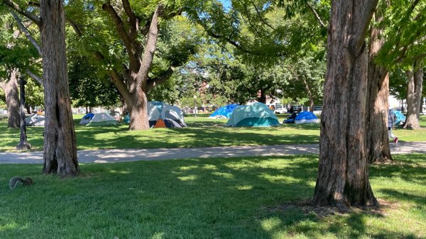 Allan Gardens Conservatory by null