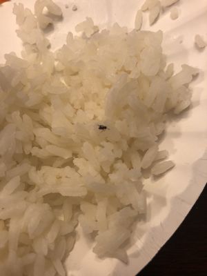 Chin's Kitchen by null