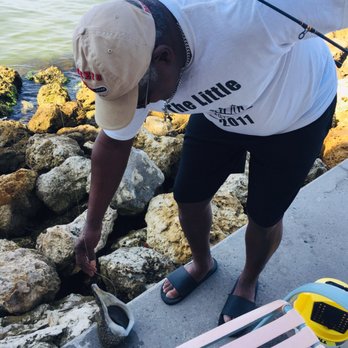 Ringling Causeway Bridge - Fishermen caught a conch at CP - Landmarks & Historical Buildings Near Me - Sarasota, Florida Ringling Causeway Bridge - Fishermen caught a conch at CP - Landmarks & Historical Buildings Near Me - Sarasota, Florida