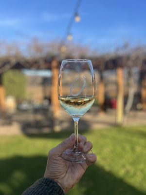 Orfila Vineyards and Winery by null