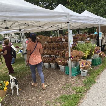 Green City Market - Farmers Market Near Me - Chicago, Illinois Green City Market - Farmers Market Near Me - Chicago, Illinois