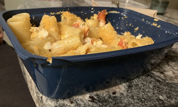 Fishbones by null