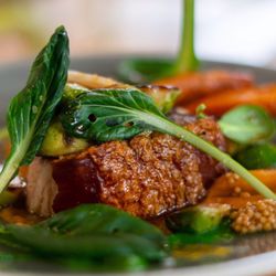 Savoie pork, carrots, Brussels sprouts, coriander, spinach, xipister