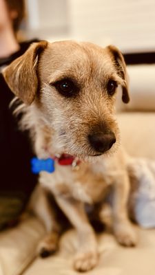 One Tail at a Time - PDX by null