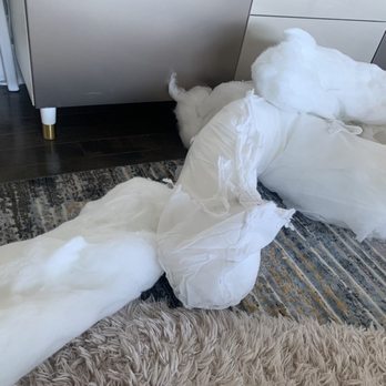 west elm - Inside of the replaced cushion, completely fallen apart. - Furniture Stores Near Me - Emeryville, California