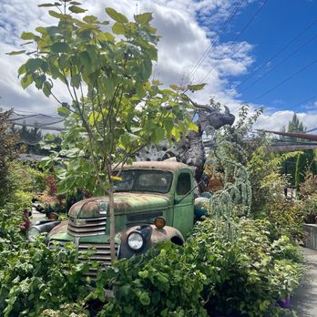 Olmsted's Nursery - Farmers Market Near Me - Poulsbo, Washington Olmsted's Nursery - Farmers Market Near Me - Poulsbo, Washington