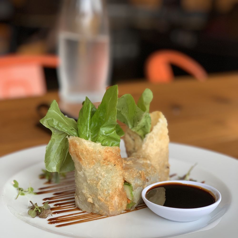 Aloy Modern Thai - Duck rolls - Thai Near Me - Denver, Colorado