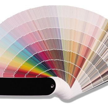 Webster Wallpaper Paint & Blinds - Shades & Blinds Near Me - Bronx, New York Webster Wallpaper Paint & Blinds - Shades & Blinds Near Me - Bronx, New York