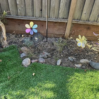 Miguel's Landscaping - Before - Irrigation Near Me