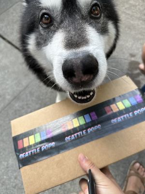 Seattle Pops by null