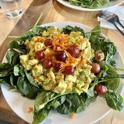 Plates & Palates - Curry Chicken Salad