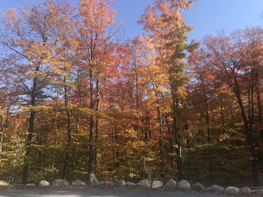 Mt Ascutney by null