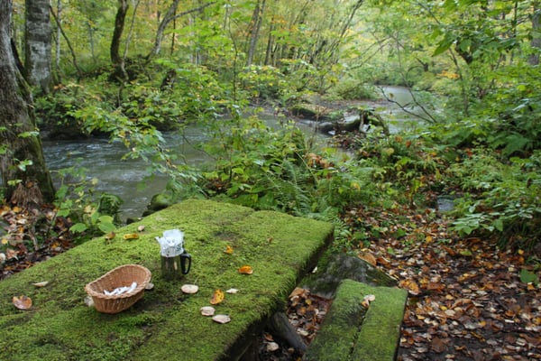 Oirase Keiryu Hotel by Hoshino Resorts by null