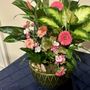 Photo of Bashful Daisy Florist