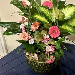 Bashful Daisy Florist - "Dish Garden" from Bashful Daisy Florist, Fort Lauderdale