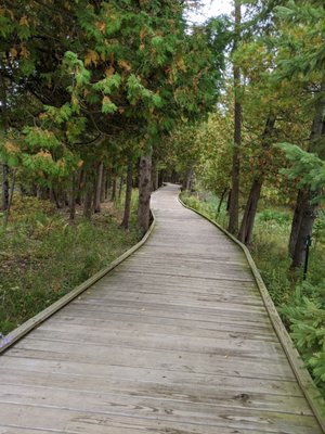 The Ridges Sanctuary by null