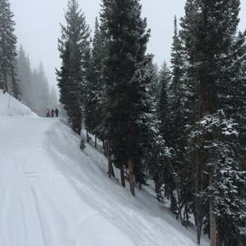 Powder Mountain - winter wonderland - Ski Resorts Near Me Powder Mountain - winter wonderland - Ski Resorts Near Me