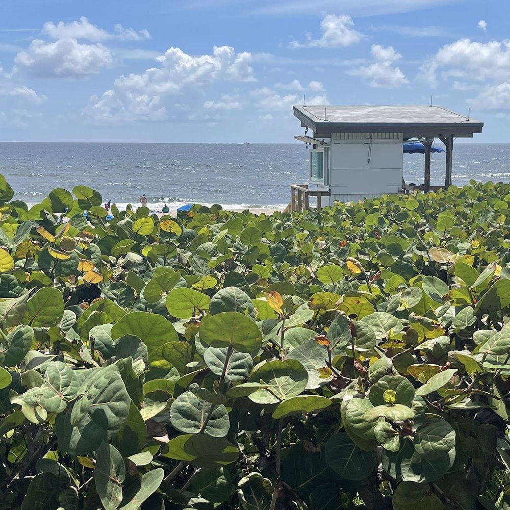 Oceanfront Park - Beaches Near Me - Ocean Ridge, Florida Oceanfront Park - Beaches Near Me - Ocean Ridge, Florida