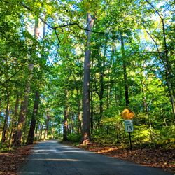 Harford Park - Harford Park -- driveway