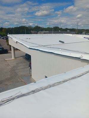 Green Roofing Solutions of Central Florida