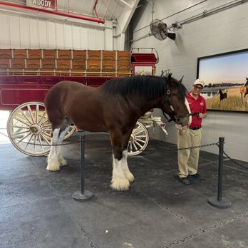 Warm Springs Ranch - Horse - Tours Near Me - Boonville, Missouri Warm Springs Ranch - Horse - Tours Near Me - Boonville, Missouri