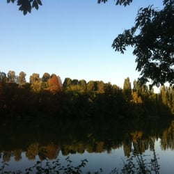 Promenade Paul Cézanne - La Marne en amont de l'ile de Charentonneau