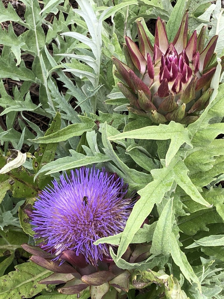 Tampa Bay Harvest - social services organization in Tampa, FL