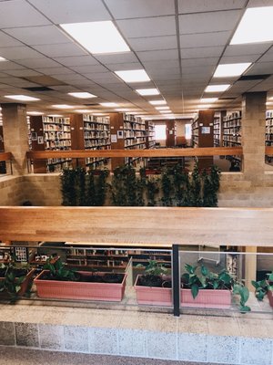 Bethel University by null