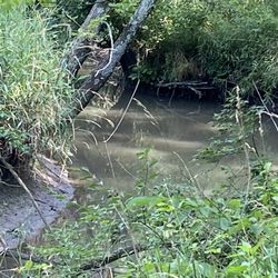 Friends Creek Regional Park - Woodland Trails