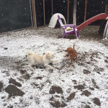 Skipton Kennel - Pet Sitting Near Me - Waltham, Massachusetts