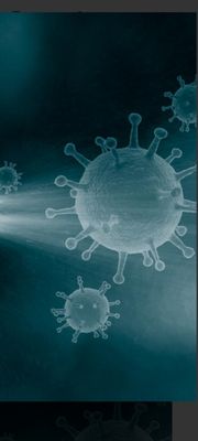 Home Virus Removal - We fumigate and sanitize your home to keep you, your kids, and your pets safe from Viruses!
