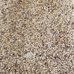 F.h. Steinbart - 30L Crystal Malt