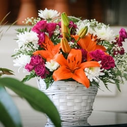 Mary Jane Dougall Flowers