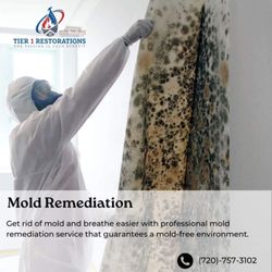 Tier 1 Restorations